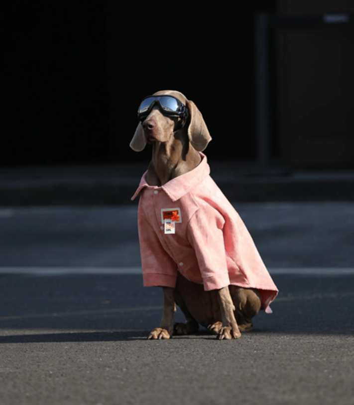 Animal Apparel