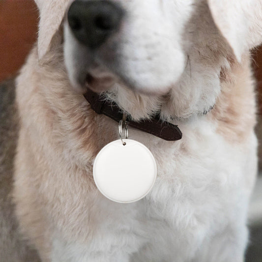 GPS Tracker