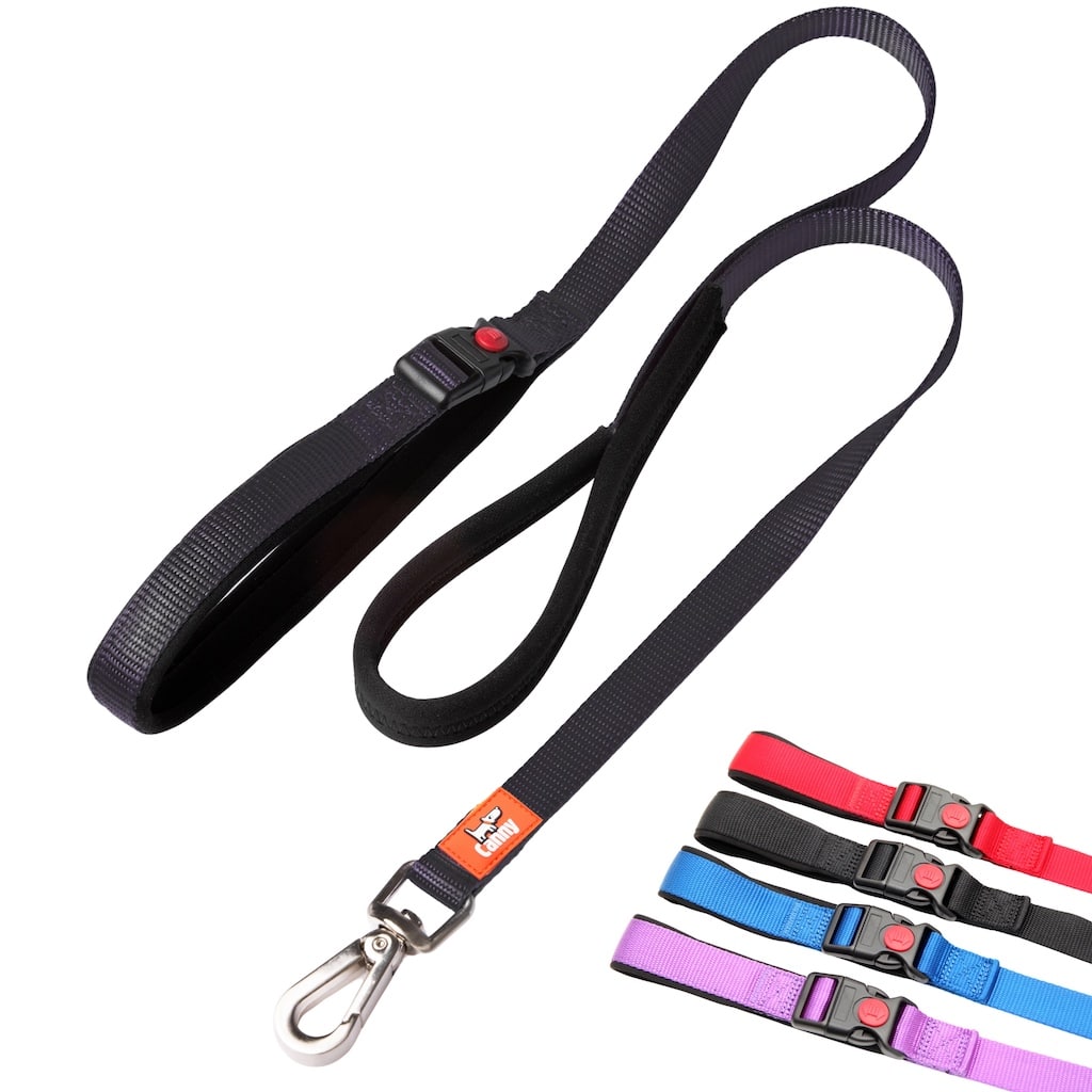 Lockable Leash