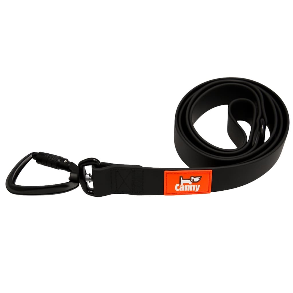 Waterproof Leash