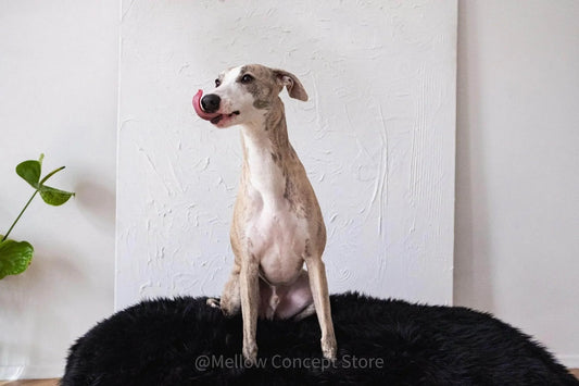 Oval Sheepskin™ Luxury Pet Bed