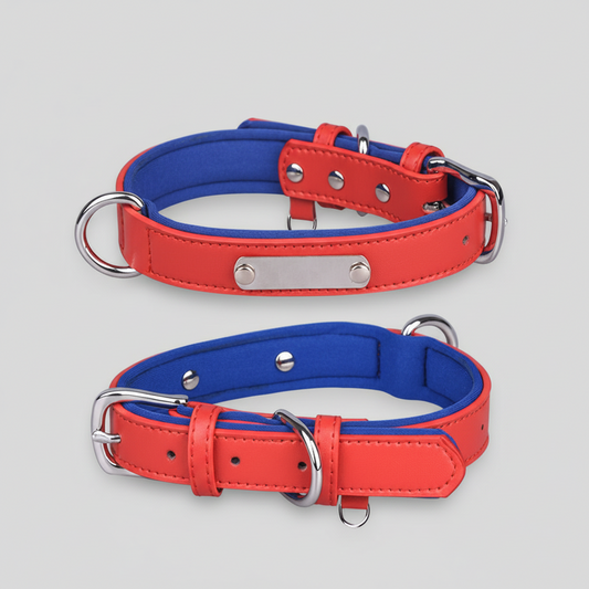 Dual D-Ring PU Leather Dog Collar with Nameplate