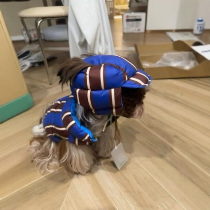 Cute And Warm Cotton-padded Coat With A Hat For Dogs And Cats