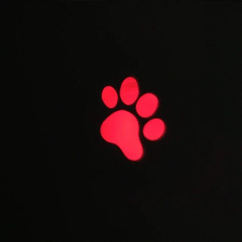 Laser Cat Toy