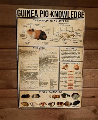 Guinea Pig Metal Wall Sign