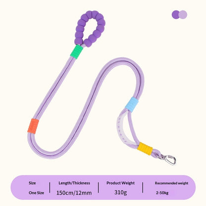 Collars, Leashes, Harnesses