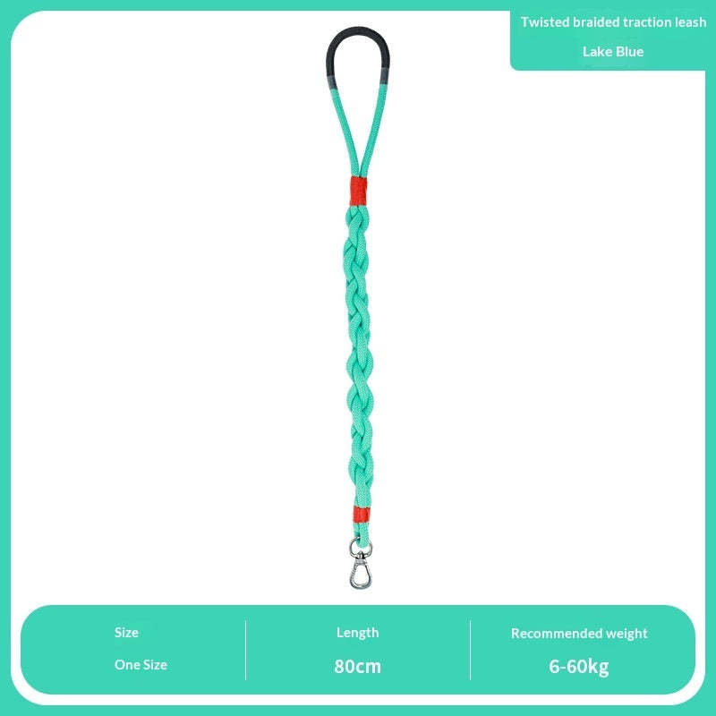 Leashes, Collars & harnesses