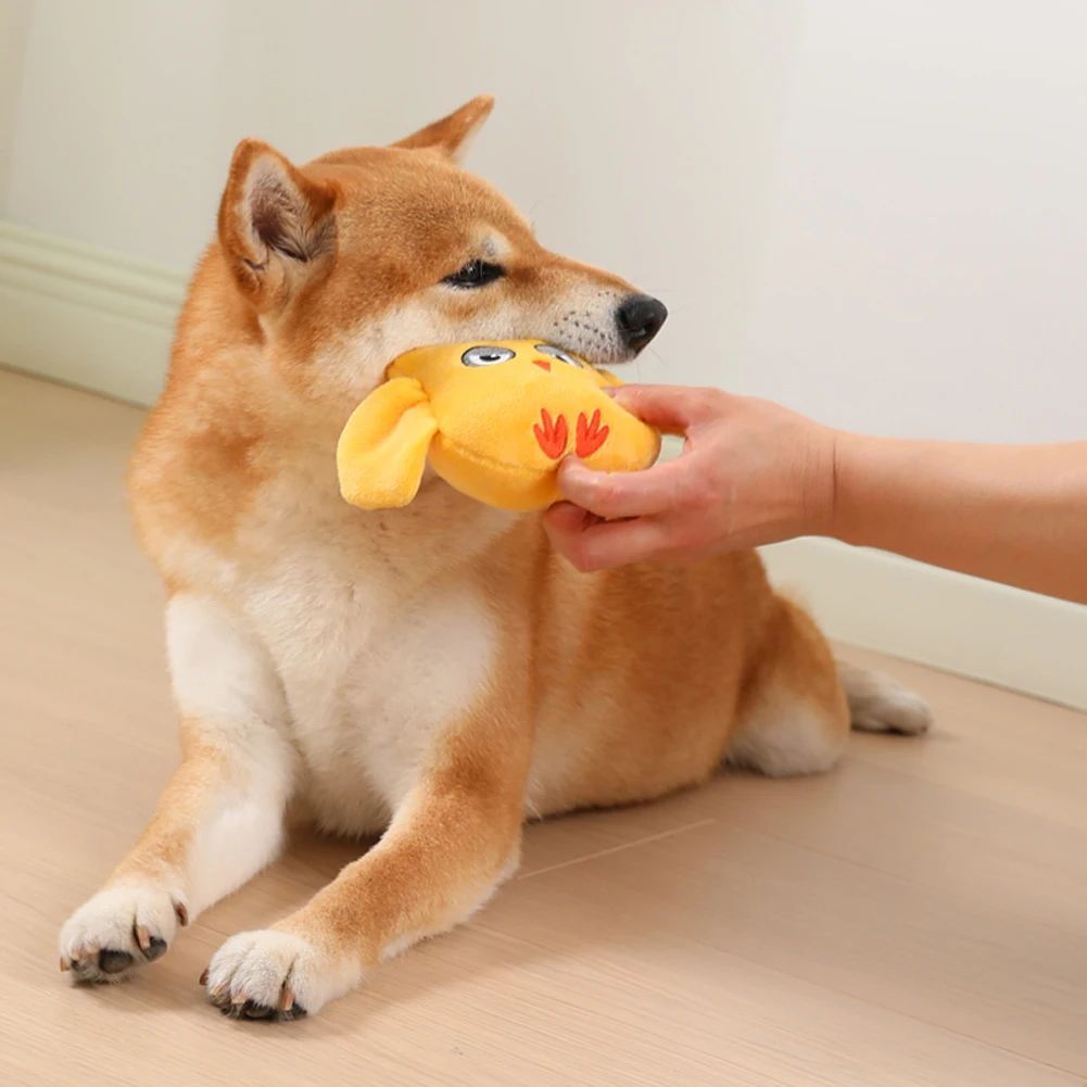Squeaky Toys
