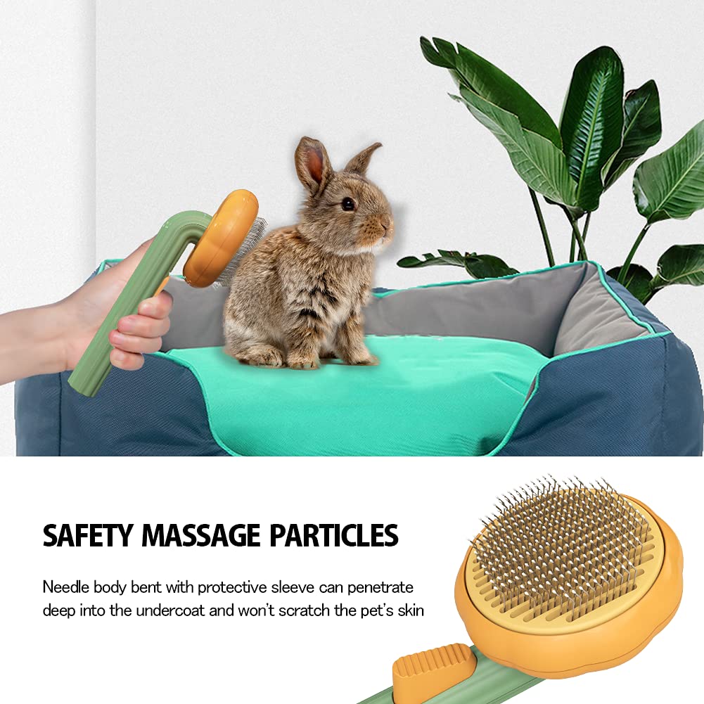 Grooming Brush