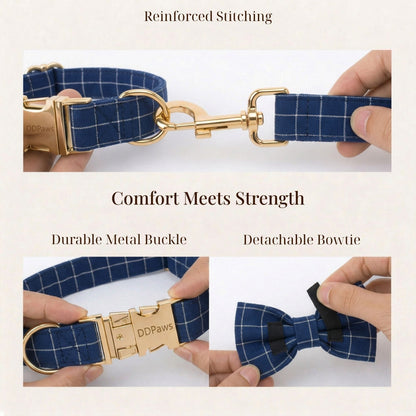 Pet Collars & Harnesses
