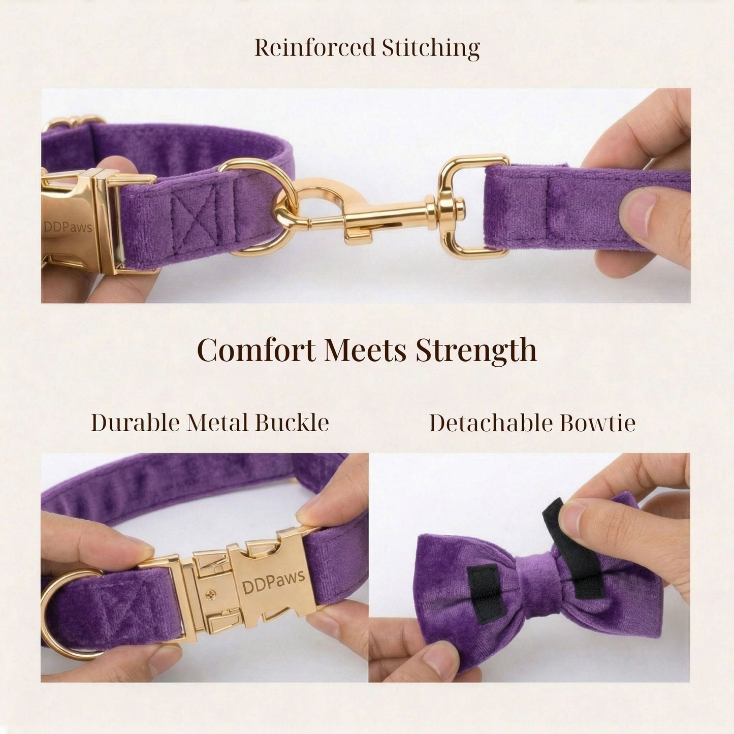 Pet Collars & Harnesses