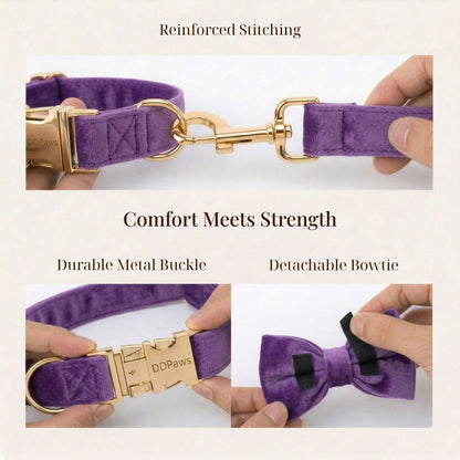 Pet Collars & Harnesses