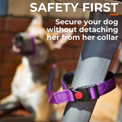 Lockable Leash