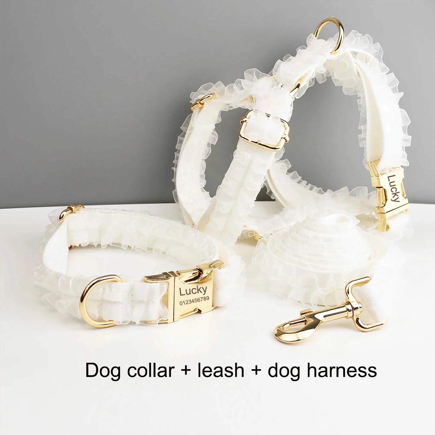Pet Collars & Harnesses