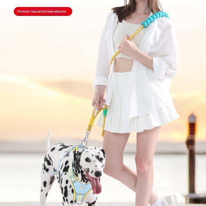 Collars, Leashes, Harnesses