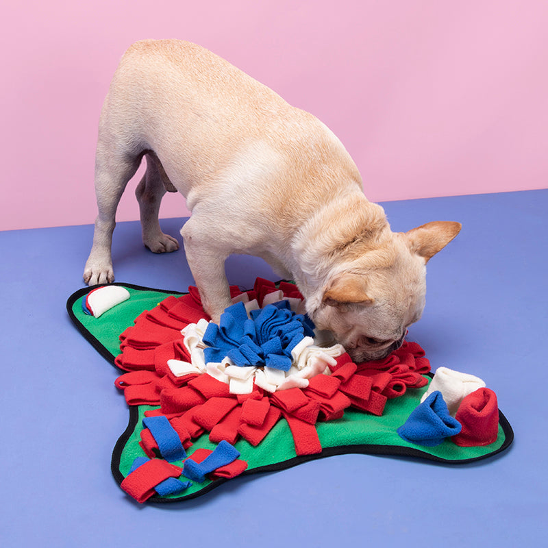 Toys -  Snuffle Mat