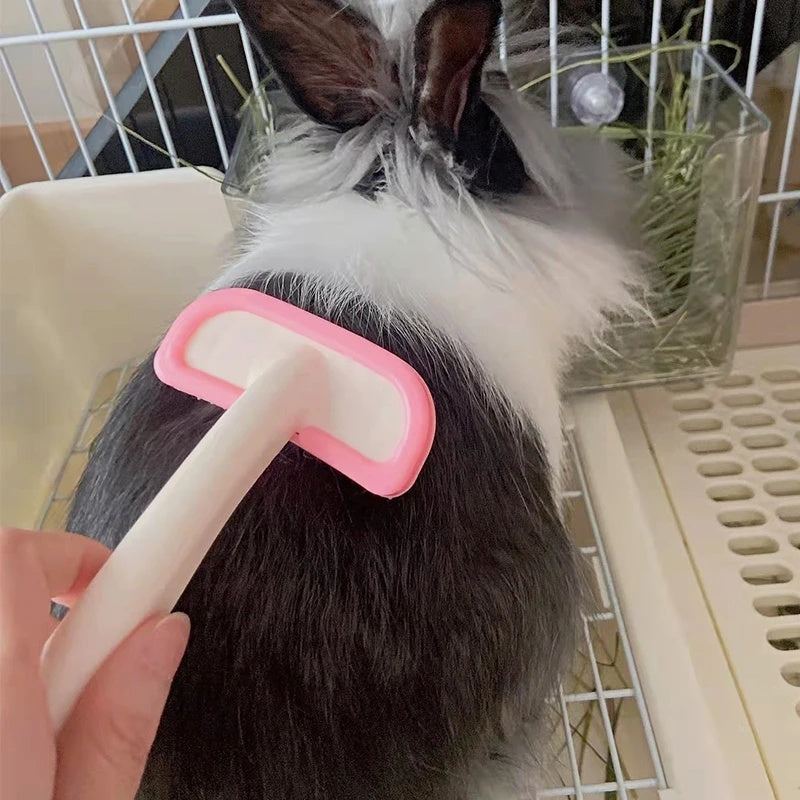Small Pet Grooming Acessories