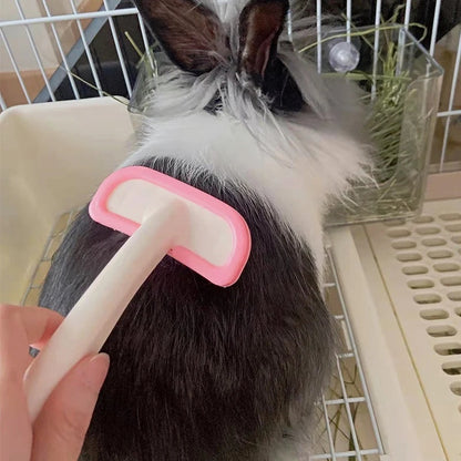 Small Pet Grooming Acessories