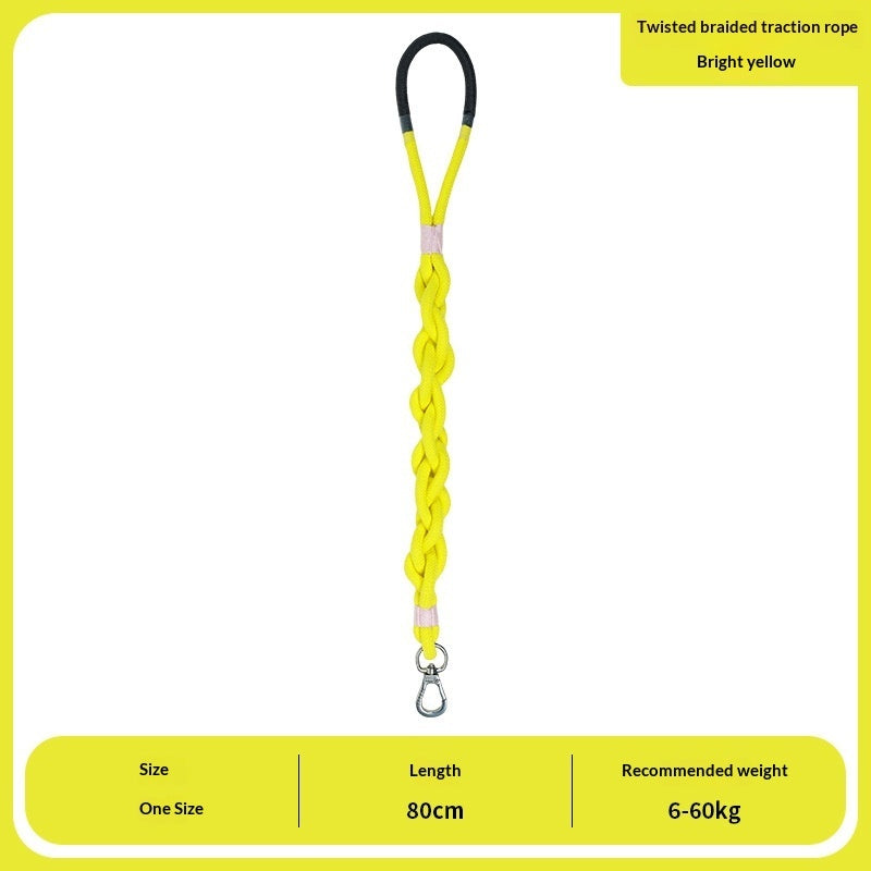 Leashes, Collars & harnesses