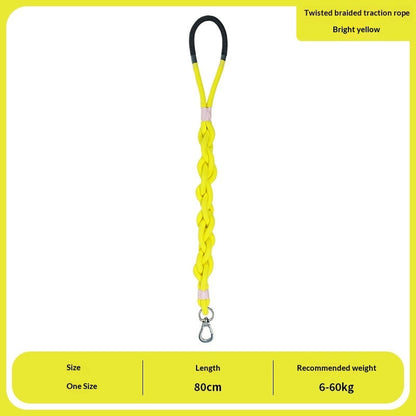 Leashes, Collars & harnesses