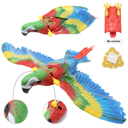Cat Toys