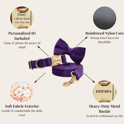 Pet Collars & Harnesses