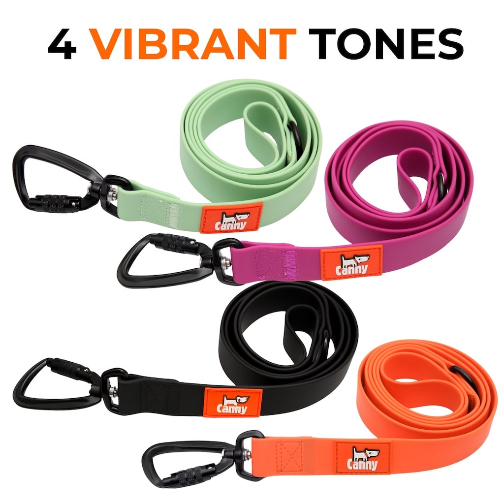 Waterproof Leash