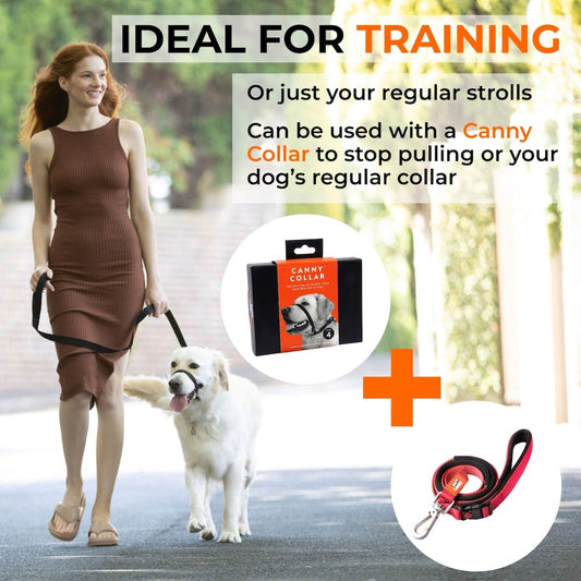 Lockable Leash