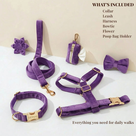 Pet Collars & Harnesses