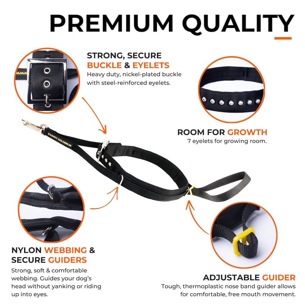 Pet Collars & Harnesses