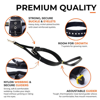 Pet Collars & Harnesses