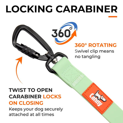 Waterproof Leash