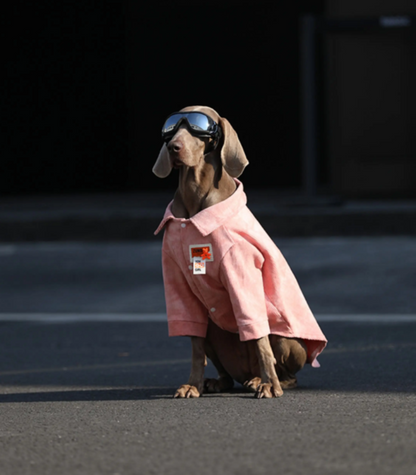 Animal Apparel