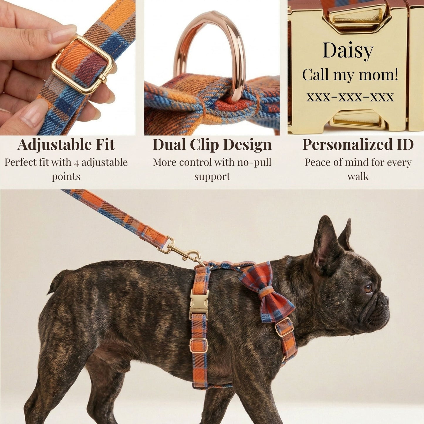 Pet Collars & Harnesses
