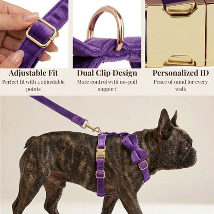 Pet Collars & Harnesses