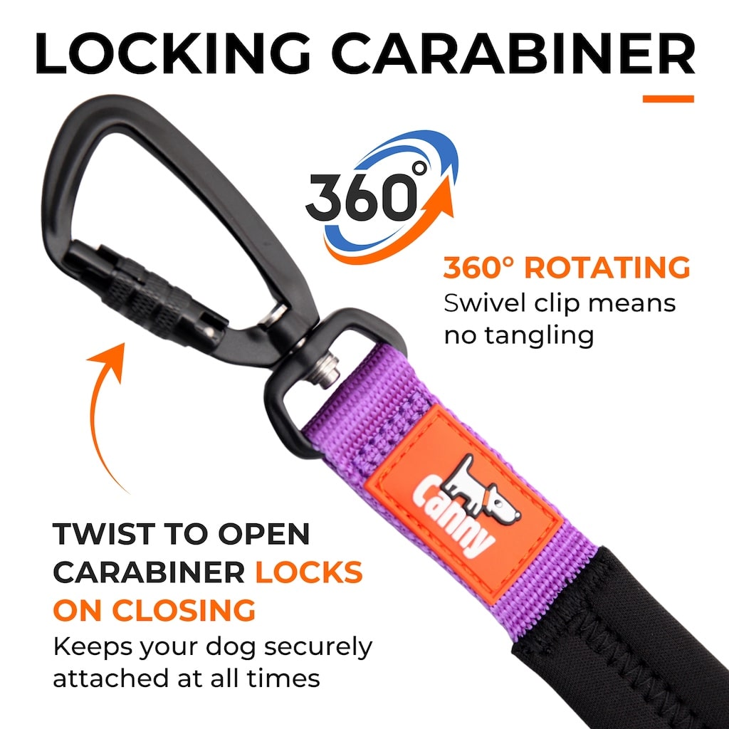 Lockable Leash