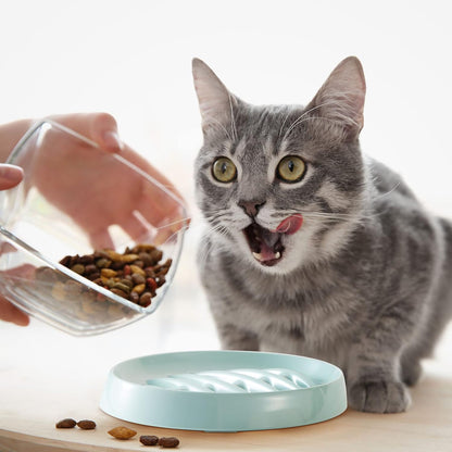 Feeder & Waterer
