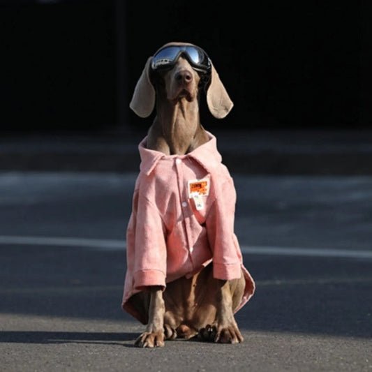 Animal Apparel