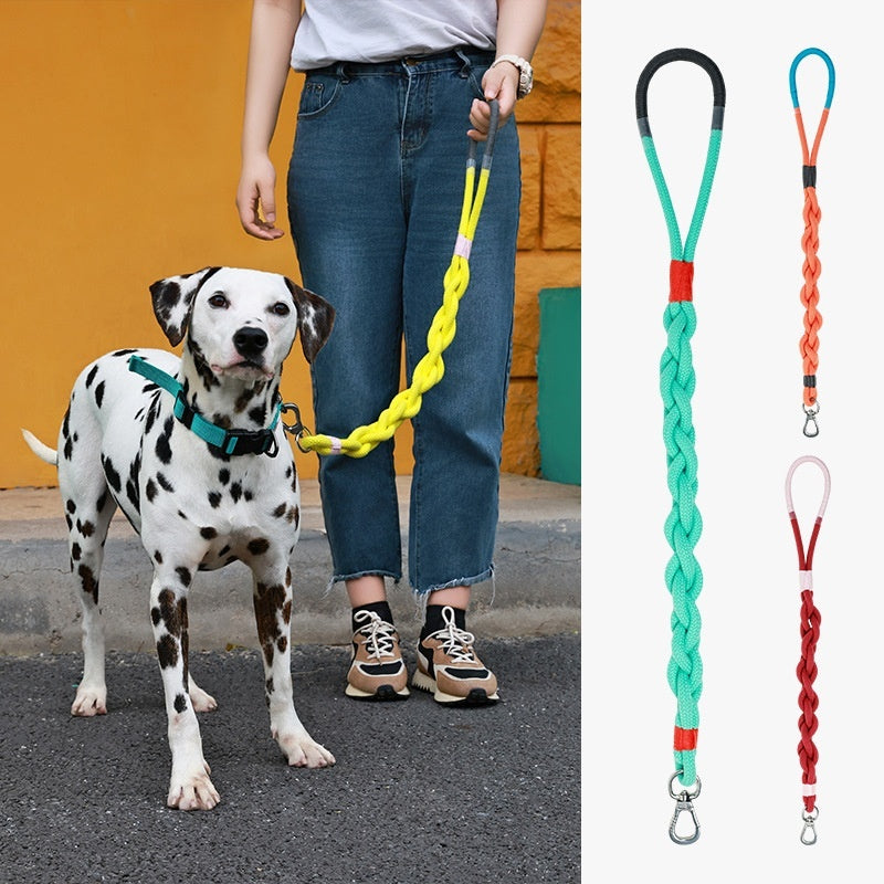 Leashes, Collars & harnesses