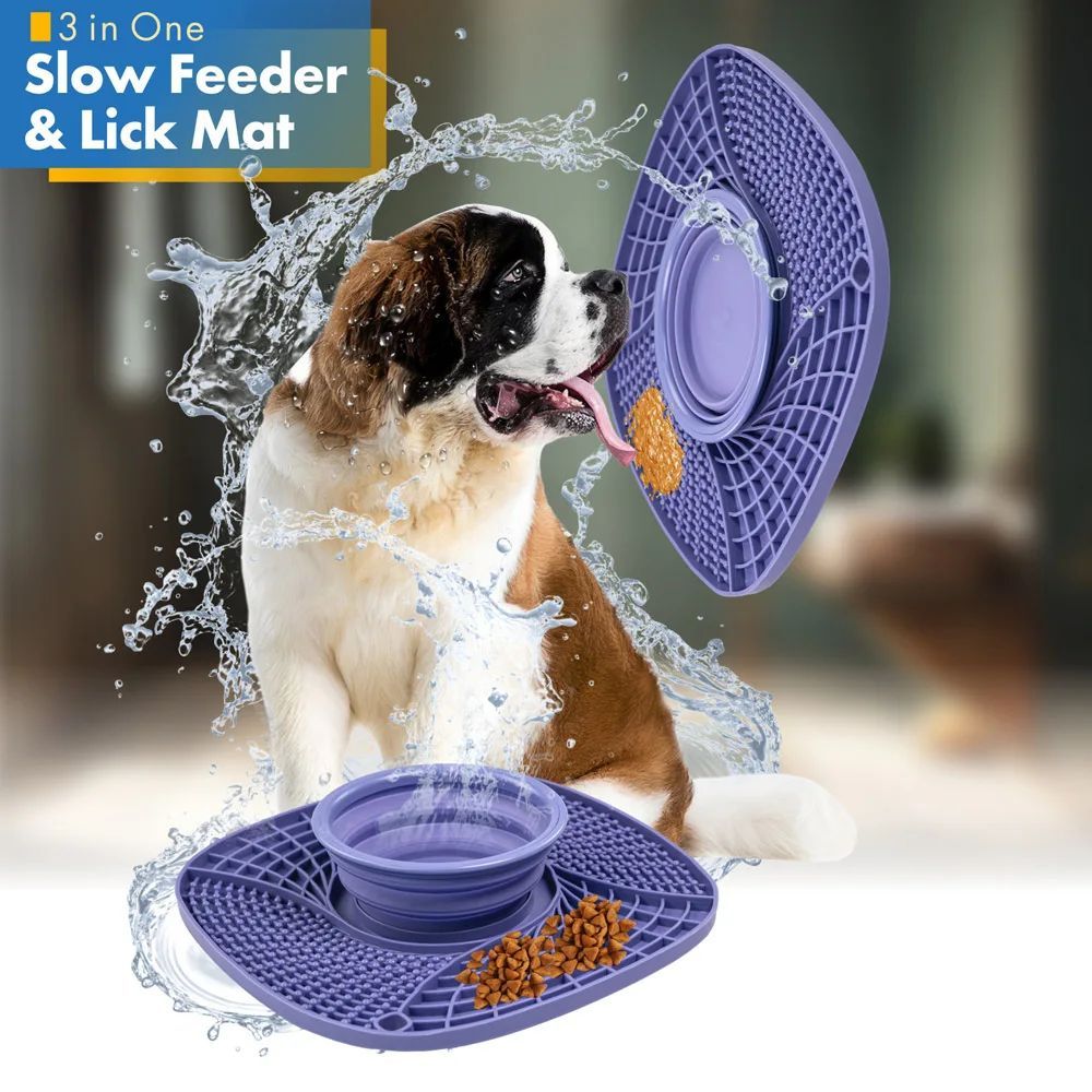 Feeder & Waterer