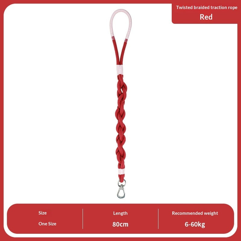 Leashes, Collars & harnesses