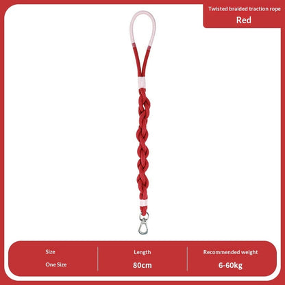 Leashes, Collars & harnesses
