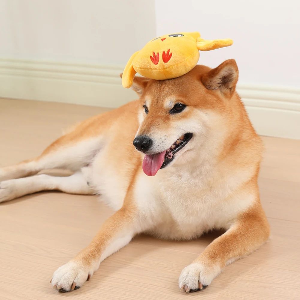 Squeaky Toys