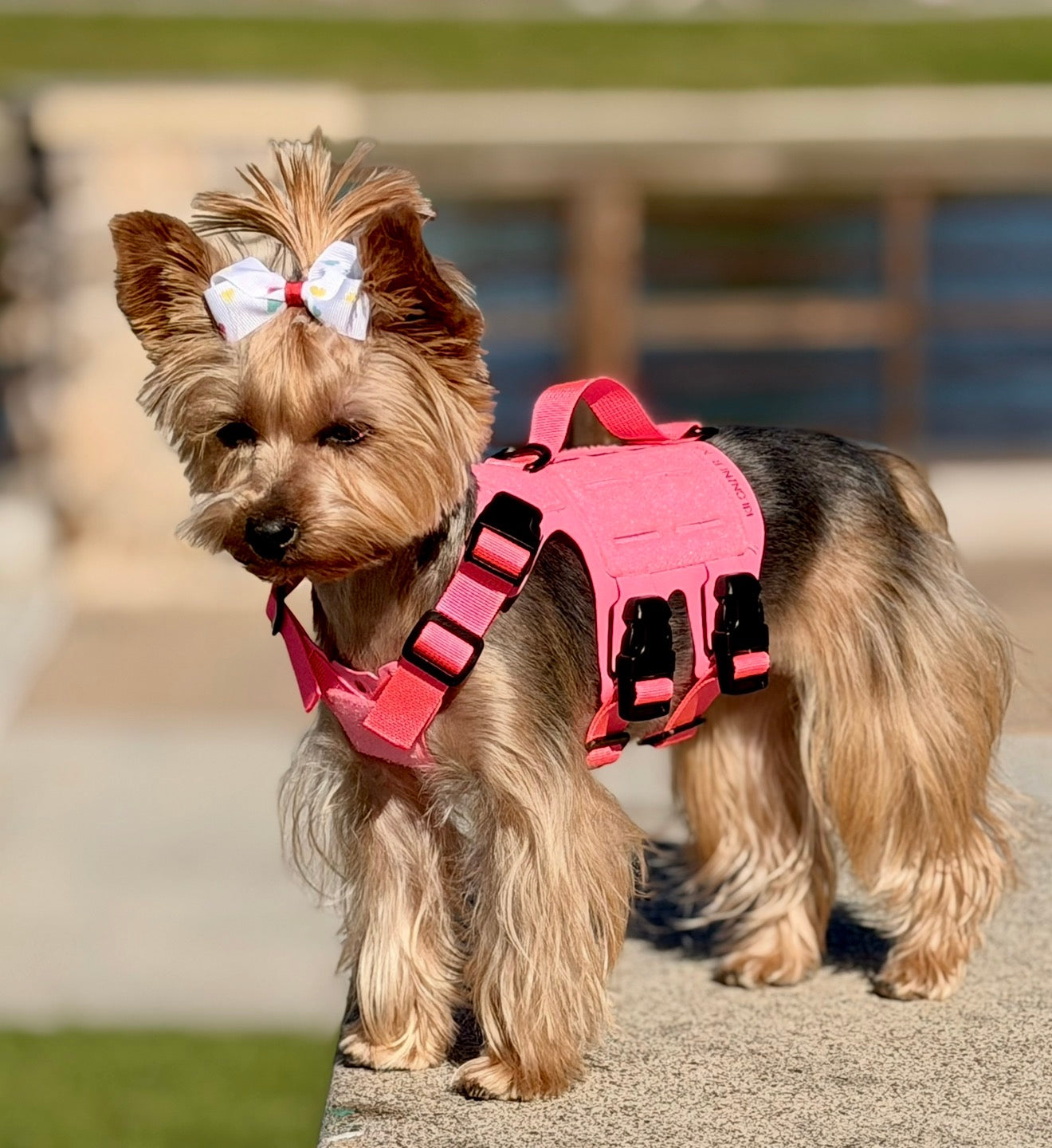 Light Vest