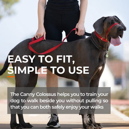 Pet Collars & Harnesses