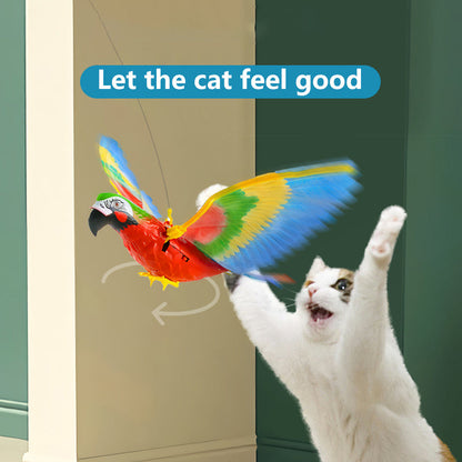 Cat Toys