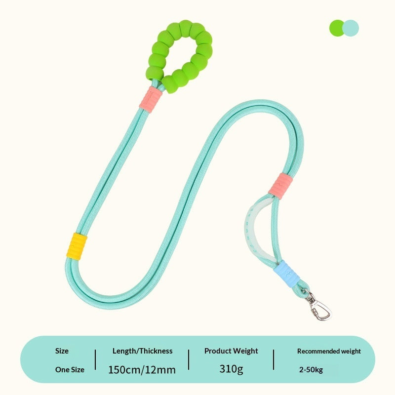 Collars, Leashes, Harnesses