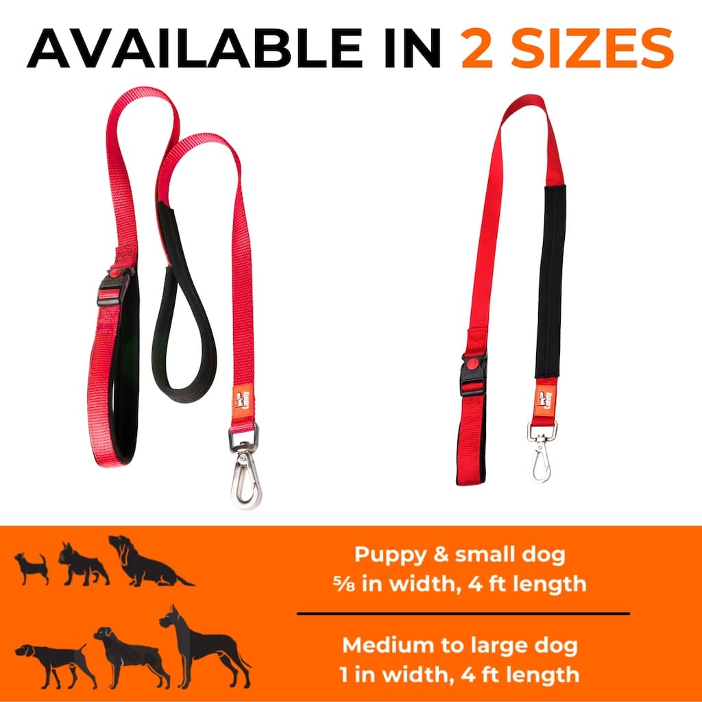 Lockable Leash