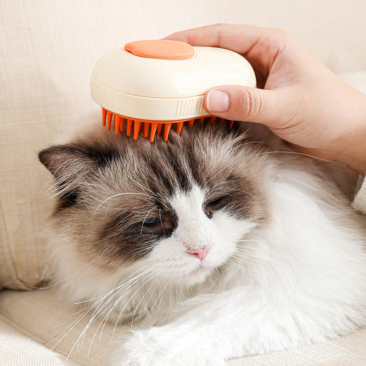 Grooming Brush