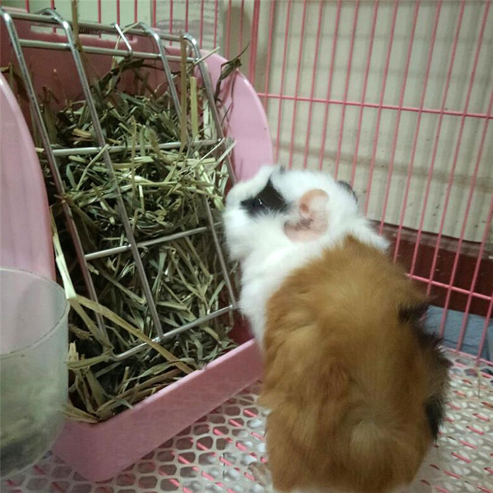 Rabbit Feeder